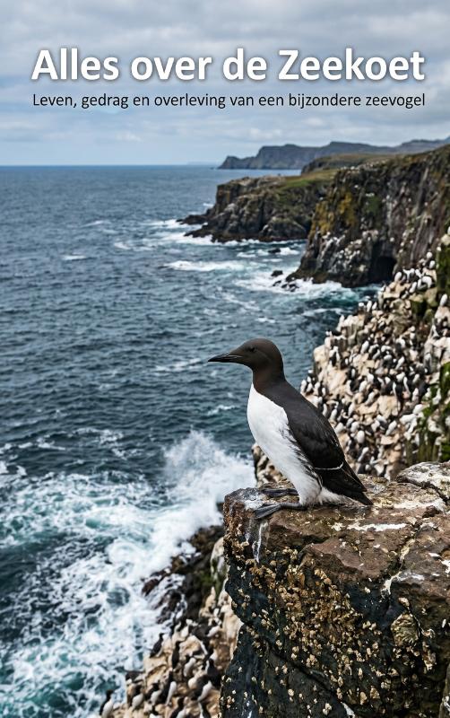 Alles over de Zeekoet