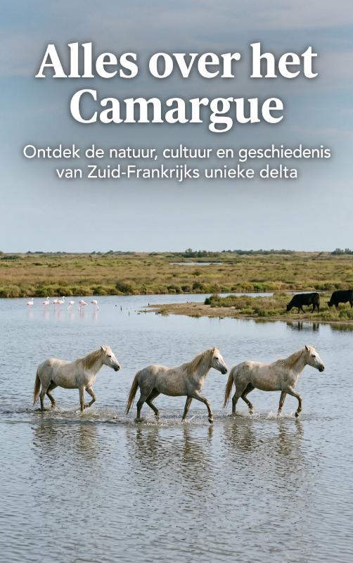 Alles over het Camargue