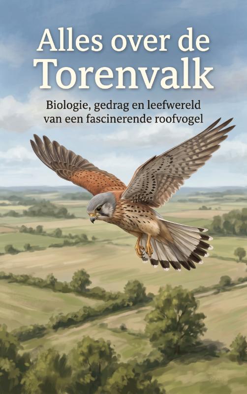 Alles over de Torenvalk