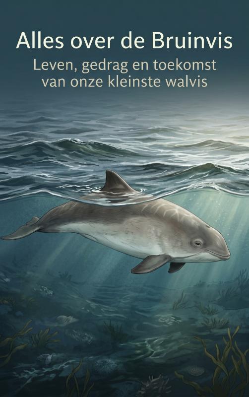 Alles over de Bruinvis