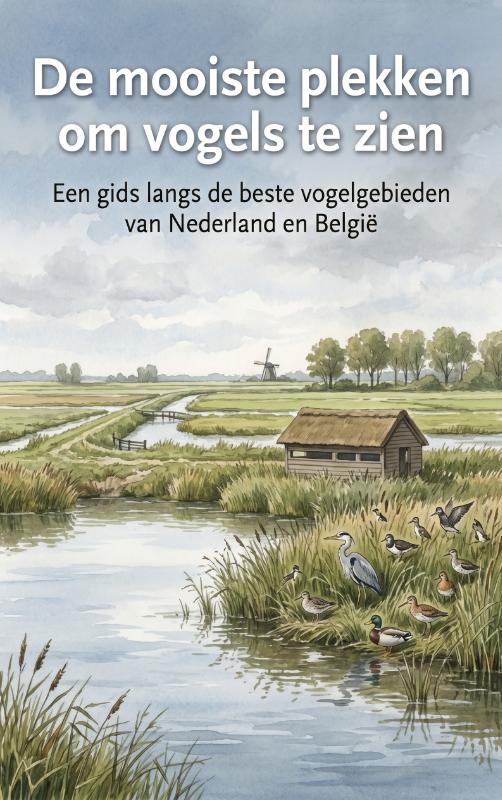 De mooiste plekken om vogels te zien