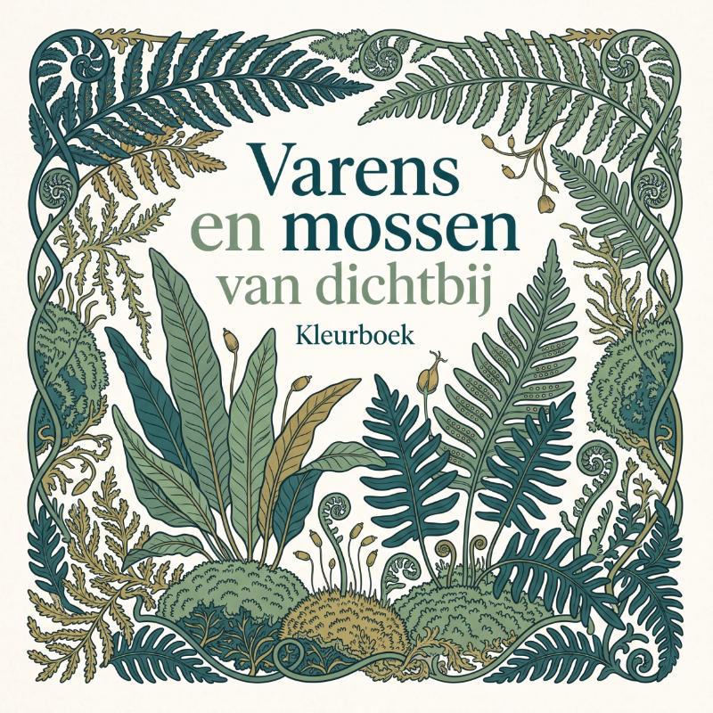 Varens en mossen van dichtbij