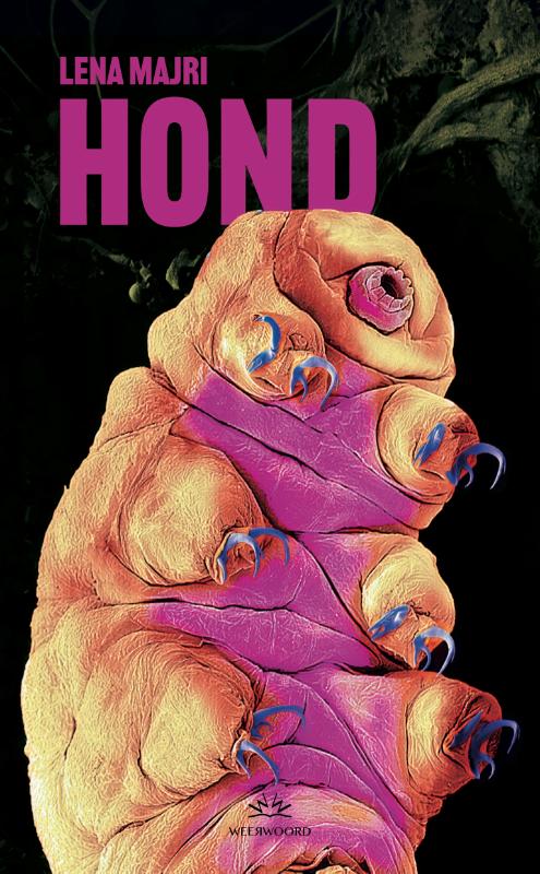 HOND